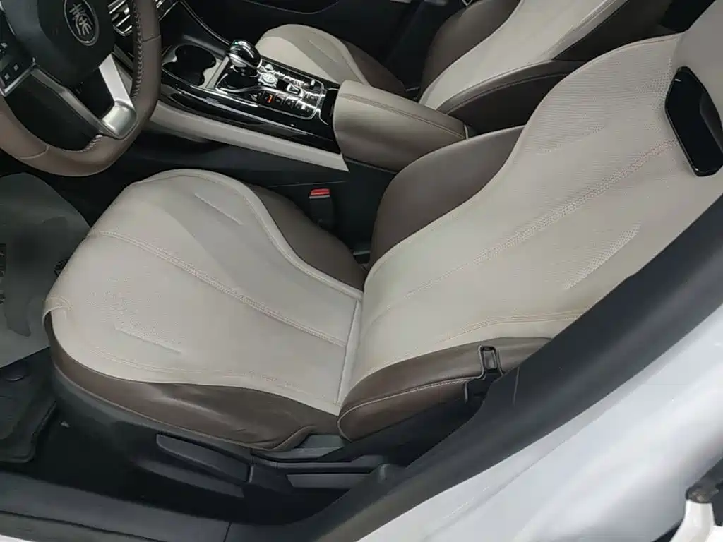 BYD Qin PLUS 2024 — фото 15