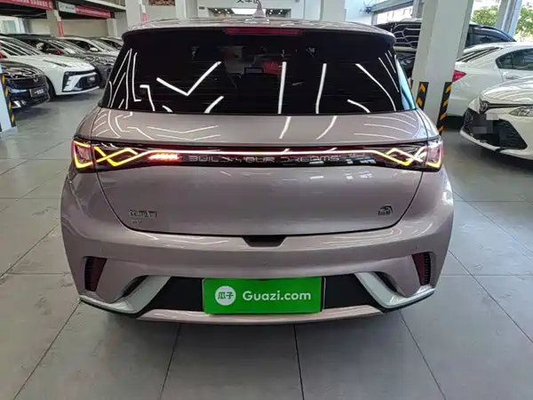 BYD Dolphin 2022