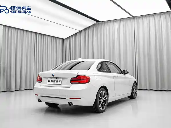 BMW 2 Series 2019