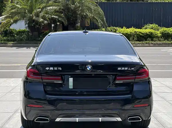 BMW 5 Series New Energy 2021