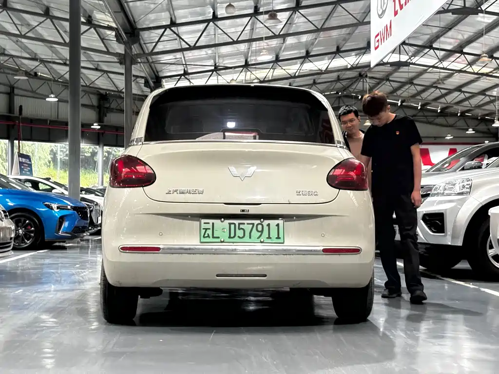 Wuling Bingo 2024