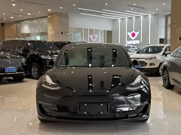 Tesla Model 3 2019
