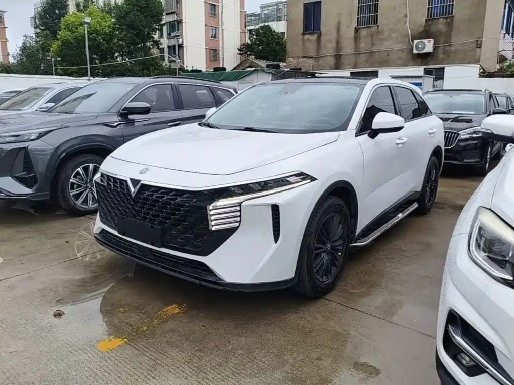 Venucia Big V 2022