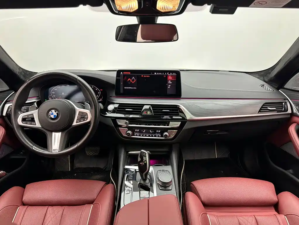 BMW 5 Series 2020 — фото 10