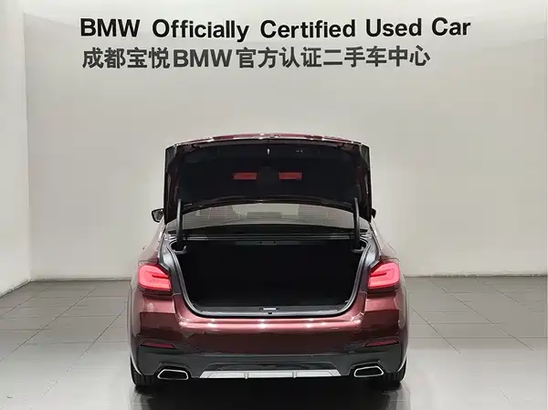 BMW 5 Series New Energy 2022