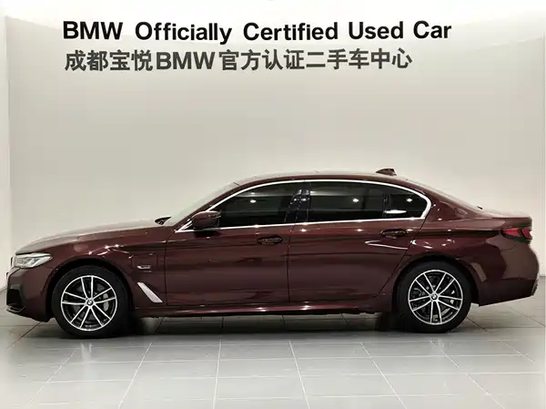 BMW 5 Series New Energy 2022