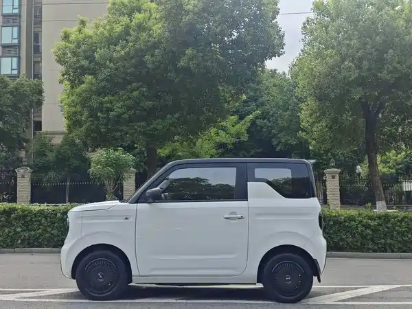 Geely Galaxy Panda 2023