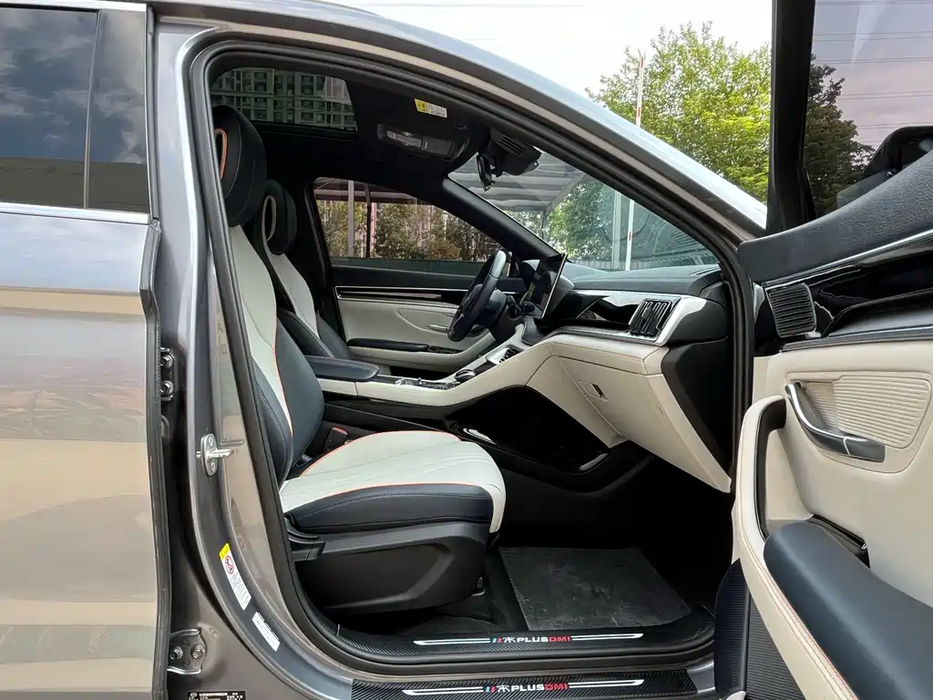 BYD PLUS New Energy 2022 — фото 15