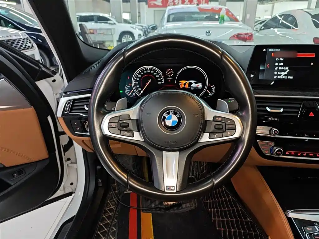 BMW 5 Series 2019 — фото 11