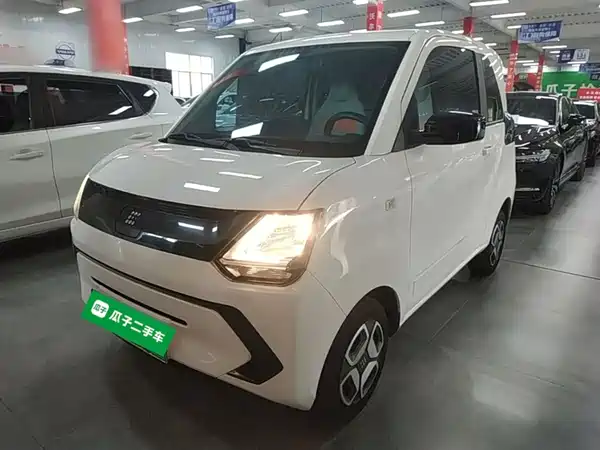 Dongfeng Scenery MINIEV 2024