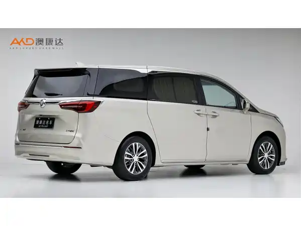 Buick GL8 2022