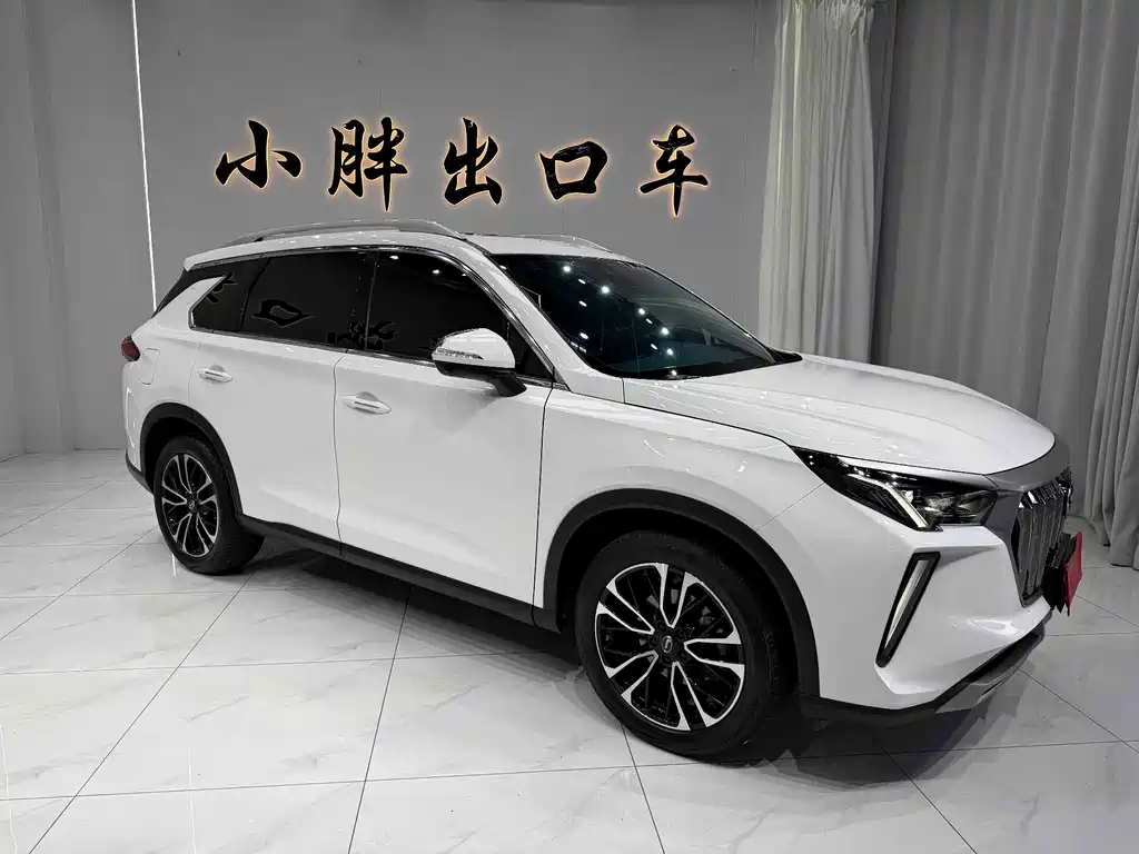 GAC Motor GS4 Plus 2023 — фото 14