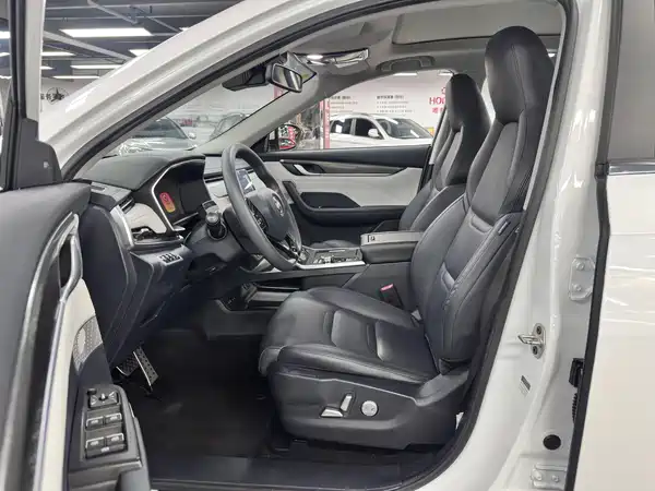 WM Motor EX5 2019