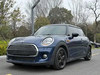 MINI MINI 2014