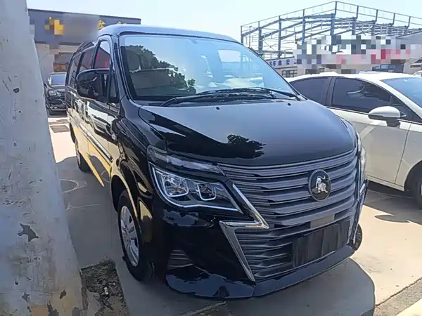 Dongfeng Lingzhi 2023