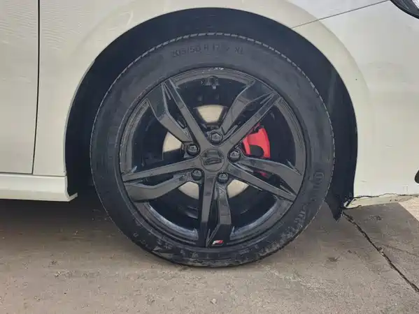 Geely Binrui 2021