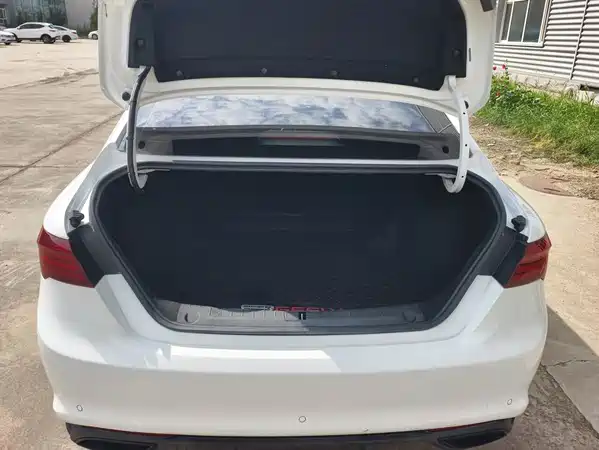 Geely Binrui 2021