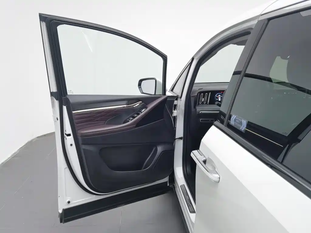 GAC Trumpchi M8 2024 — фото 8