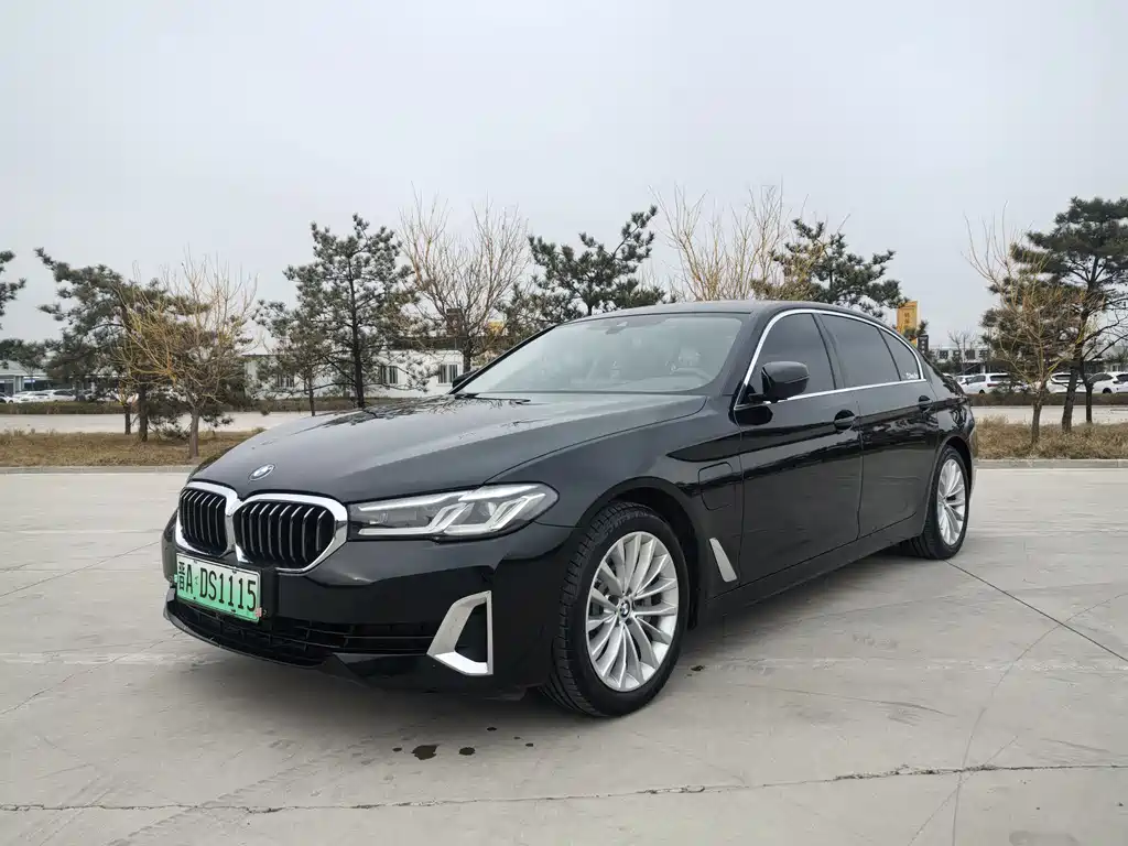 BMW 5 Series New Energy 2021 — фото 1