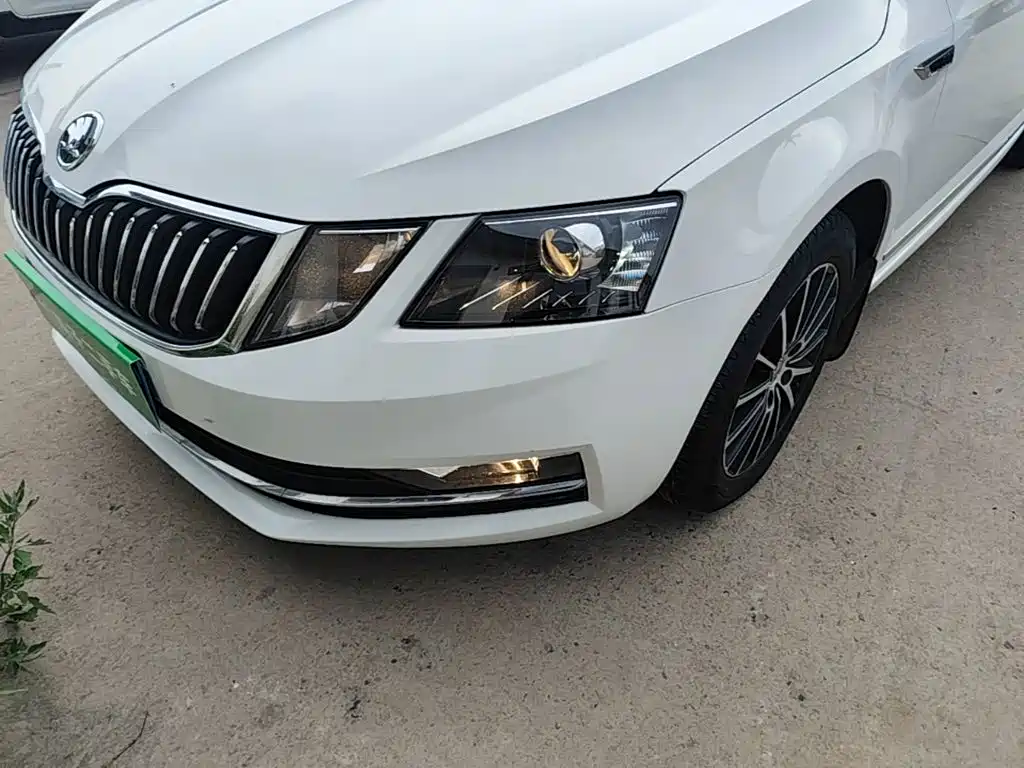 Skoda Octavia 2019 — фото 24