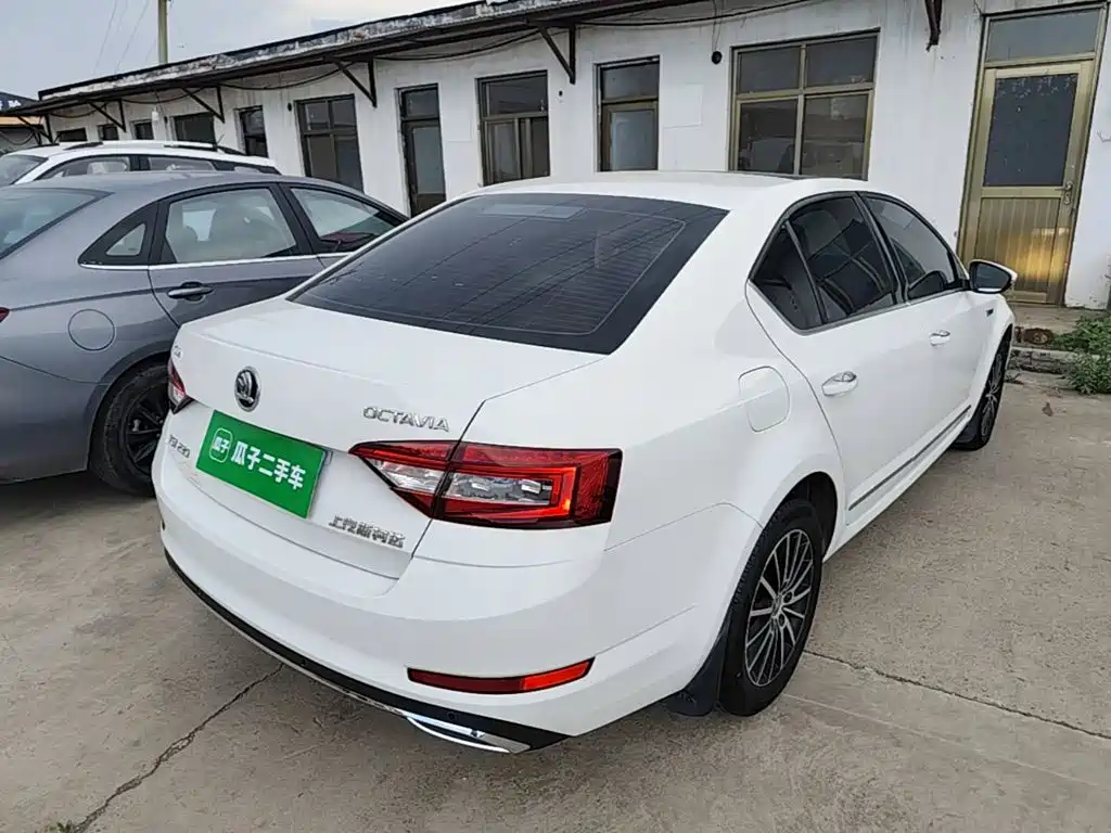 Skoda Octavia 2019 — фото 7