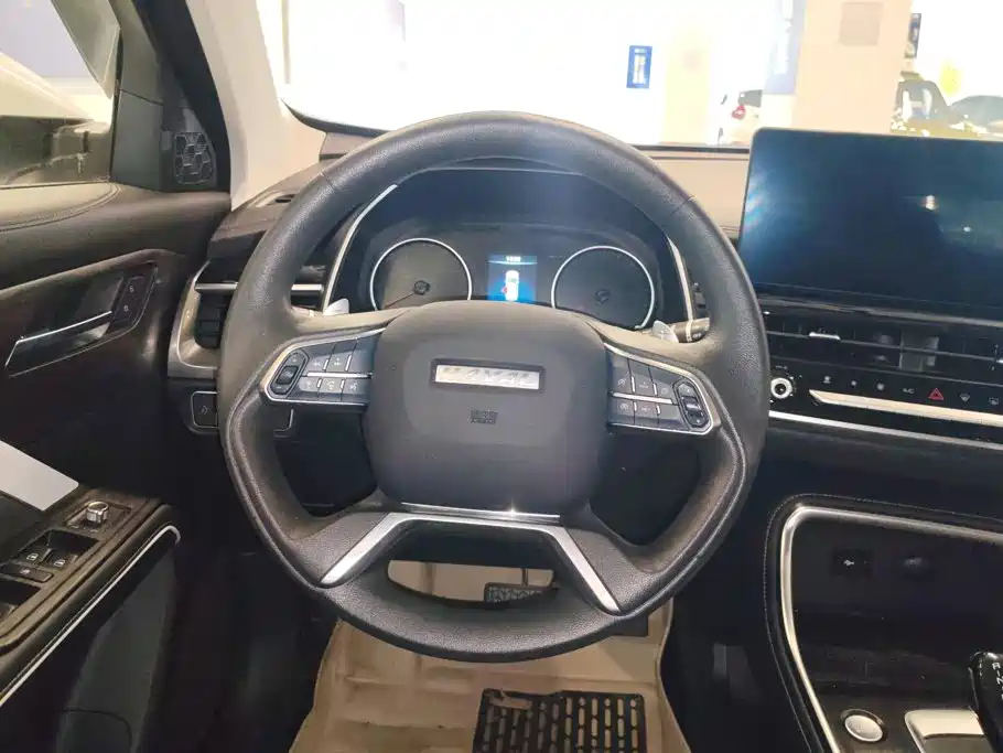 Haval H6 2023 — фото 15