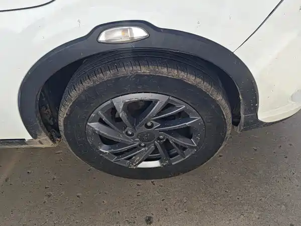 Neta V 2021