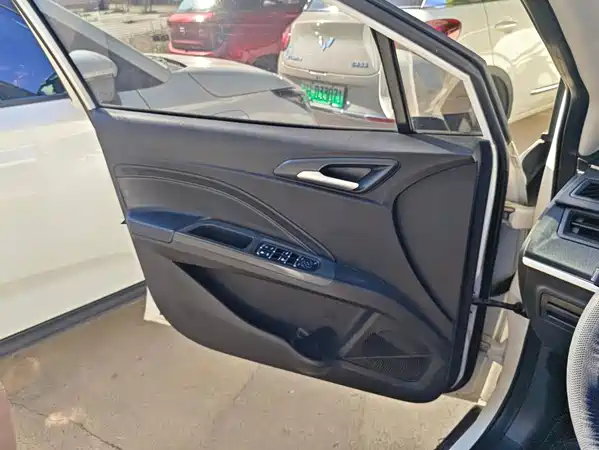 Neta V 2021