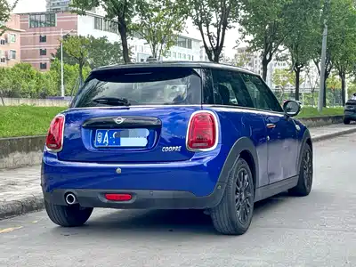 MINI MINI 2019