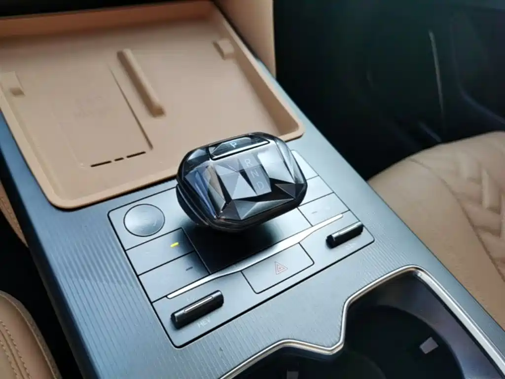 BYD L DM-i 2024 — фото 14