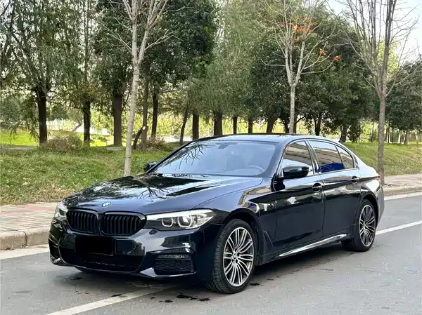 BMW 5 Series 2019