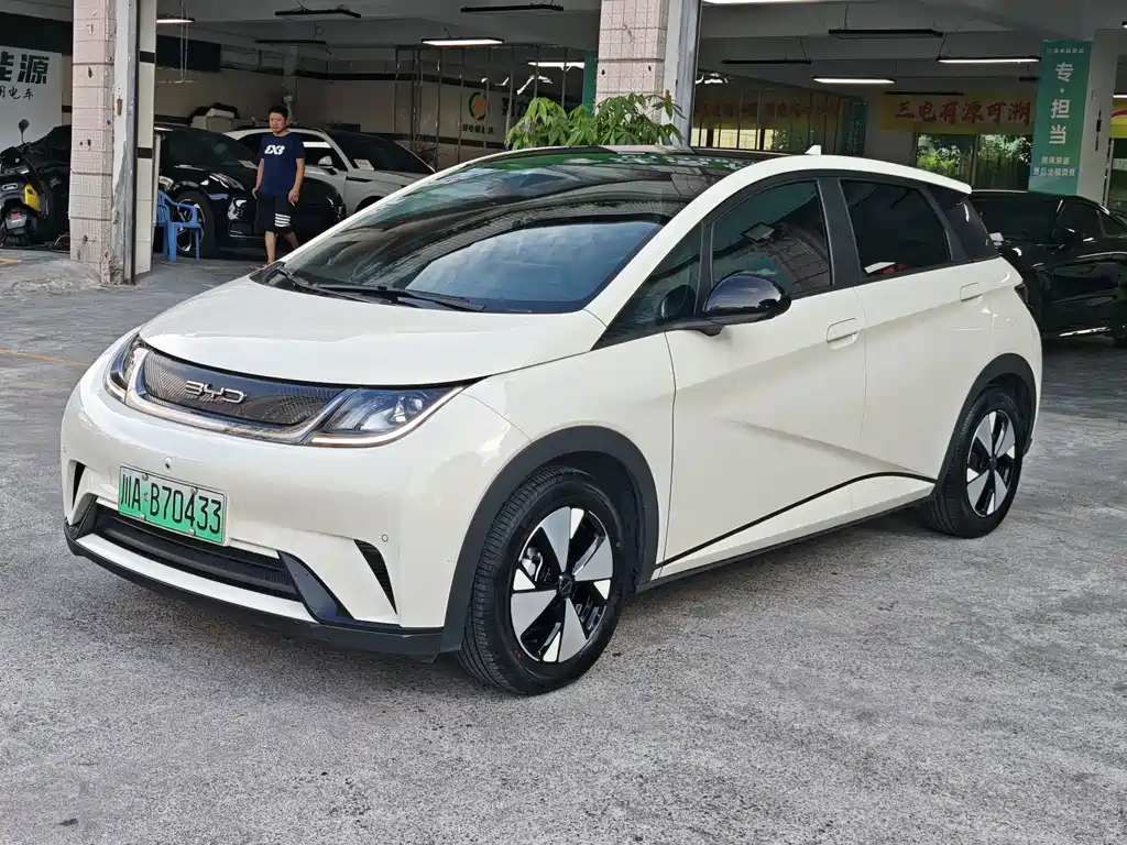 BYD Dolphin 2024