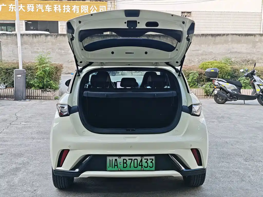 BYD Dolphin 2024