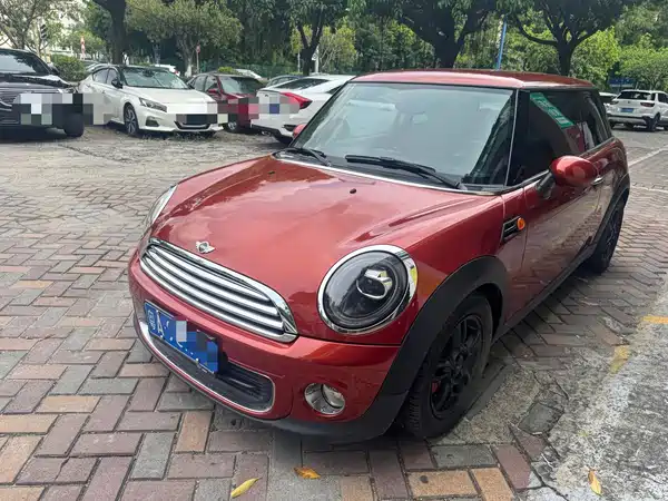 MINI 2013