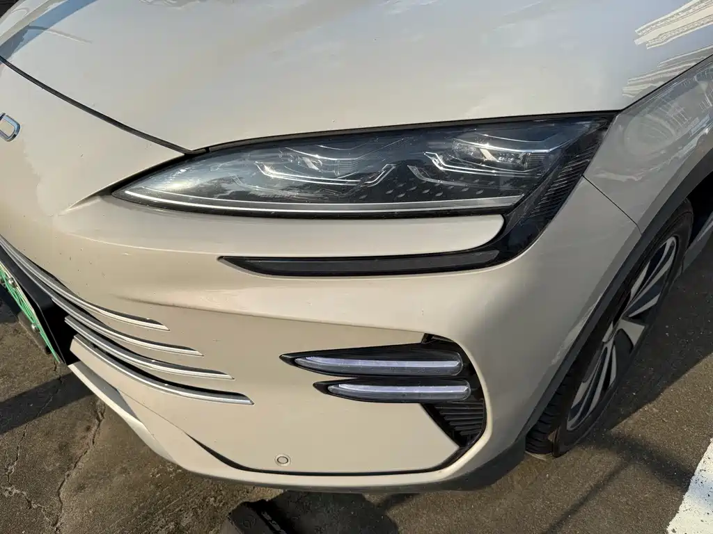 BYD Song PLUS New Energy 2024 — фото 15