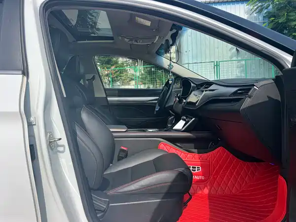 Geely Binrui 2020
