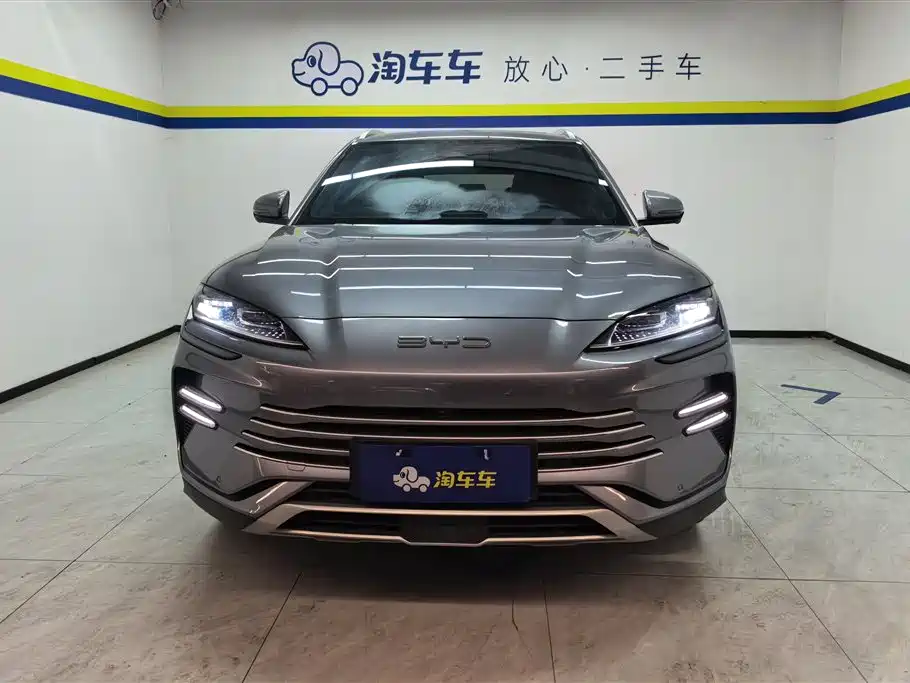 BYD PLUS New Energy 2024 — фото 2