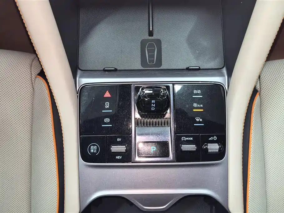 BYD PLUS New Energy 2024 — фото 16