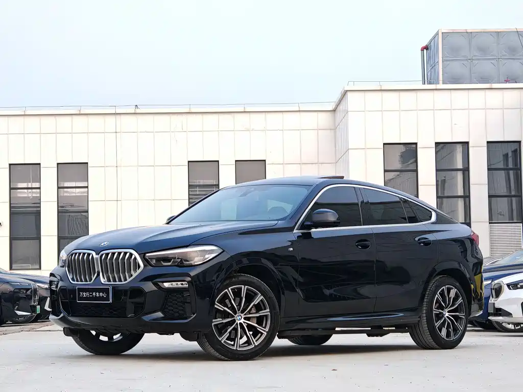 BMW X6 2021 — фото 8