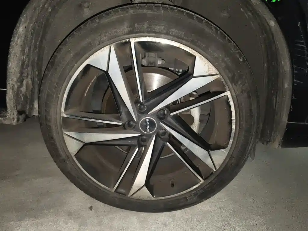 Roewe RX5 MAX 2022 — фото 24