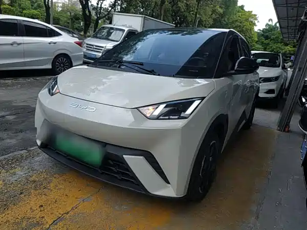 BYD Seagull 2024