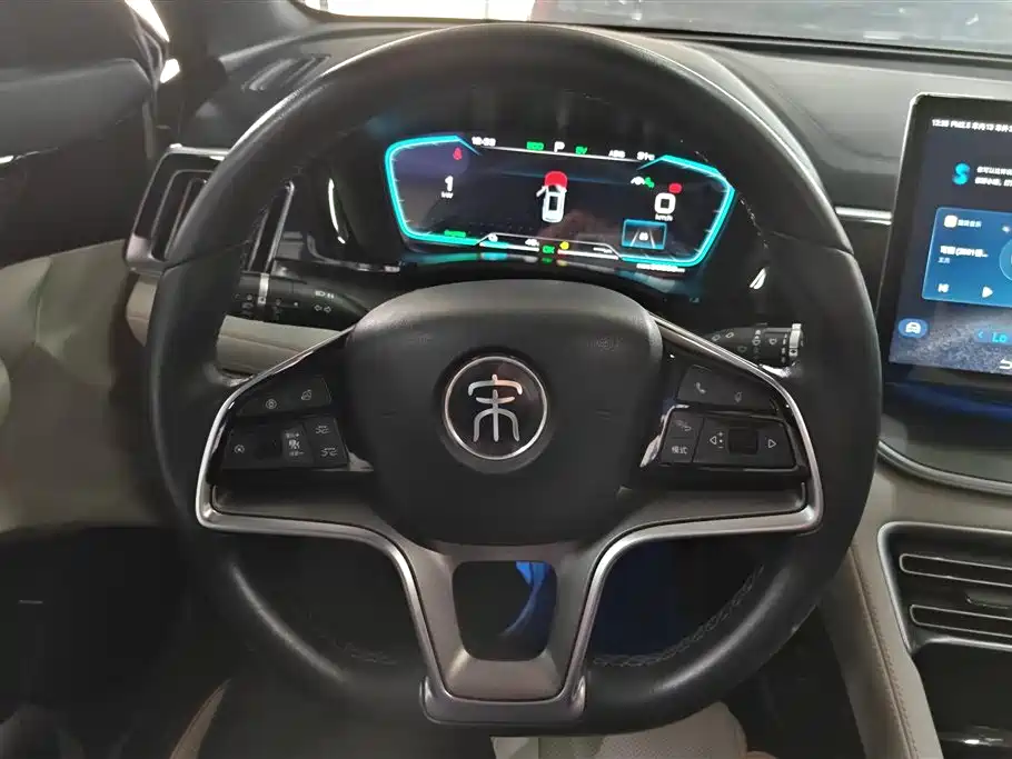 BYD PLUS New Energy 2022 — фото 15