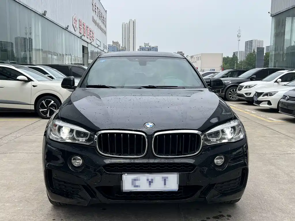 BMW X6 2019
