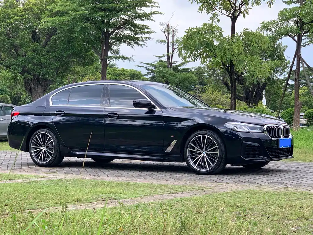 BMW 5 Series 2021