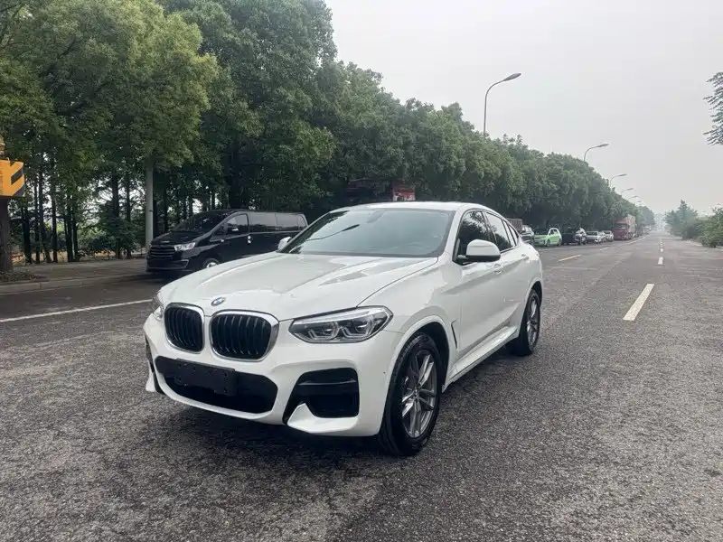BMW X4 2020 — фото 2