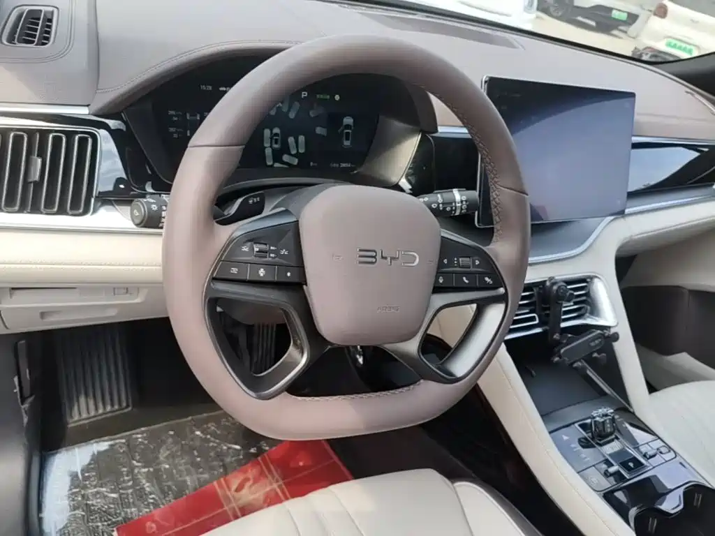 BYD PLUS New Energy 2025 — фото 11