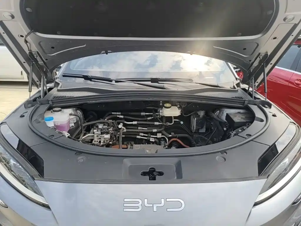 BYD PLUS New Energy 2025 — фото 20