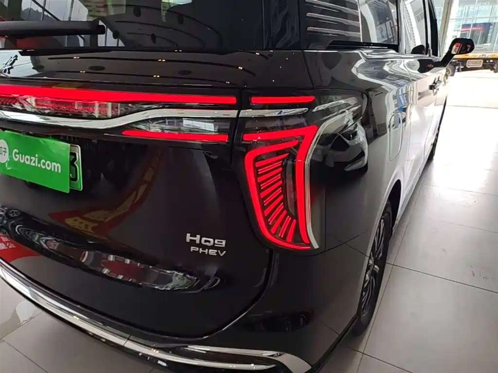 Hongqi HQ9 PHEV 2024 — фото 8