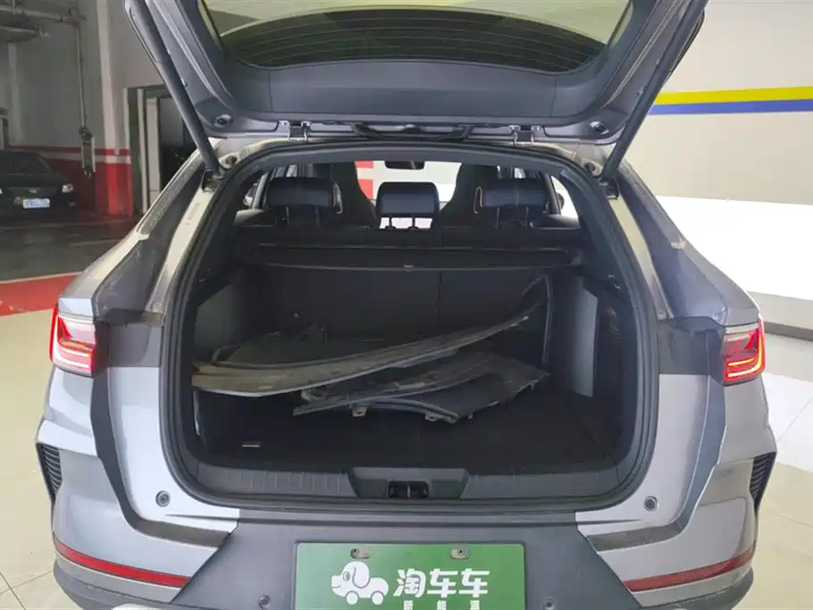 BYD PLUS New Energy 2022 — фото 4