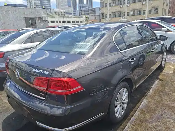 Volkswagen Magotan 2014